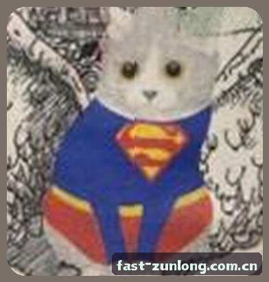 陈总
